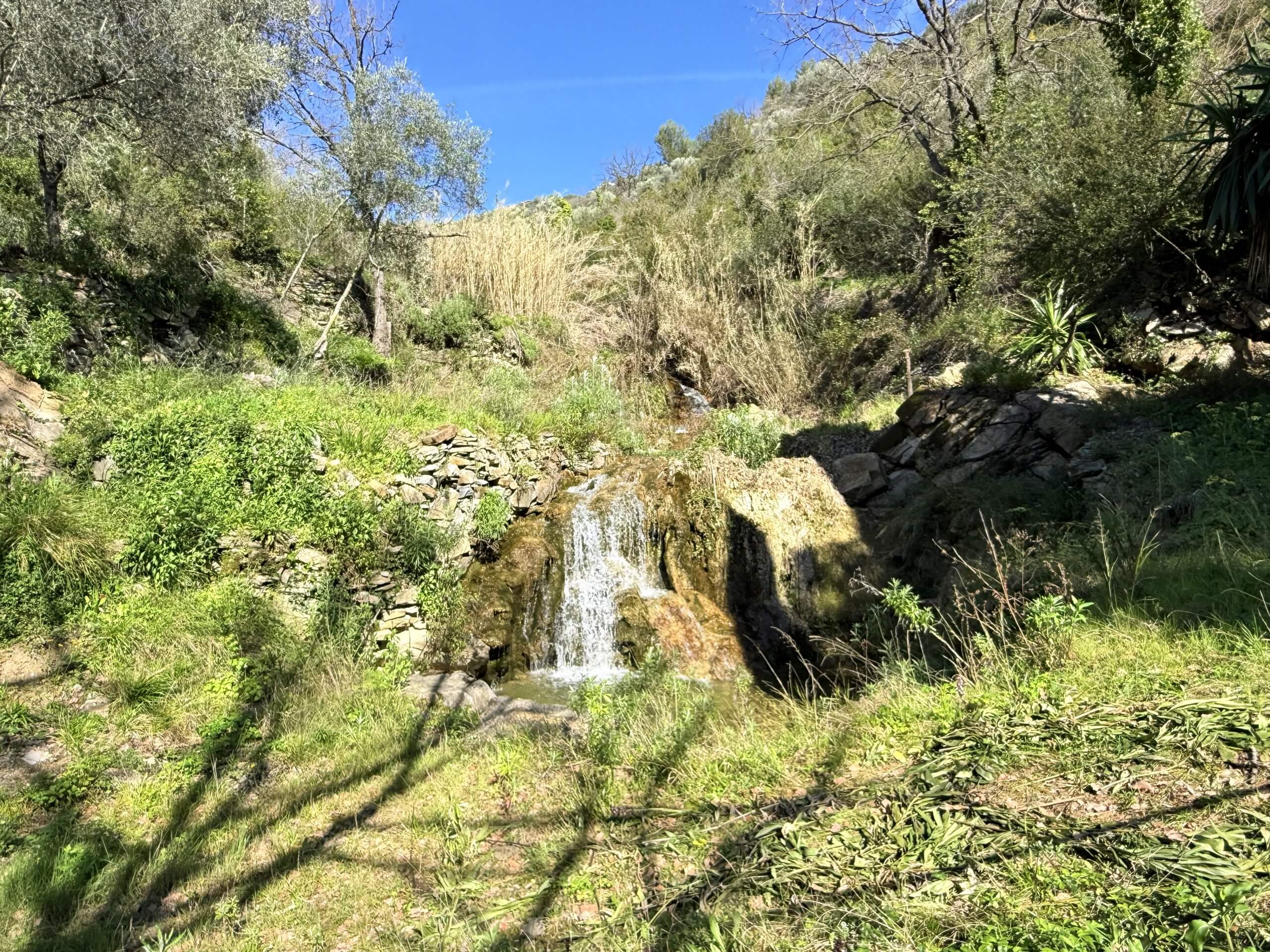 SL_705_TERRA_ITALIA_IMMOBILIEN_OLIVE_MILL_RUSTIC_LIGURIA_13-scaled