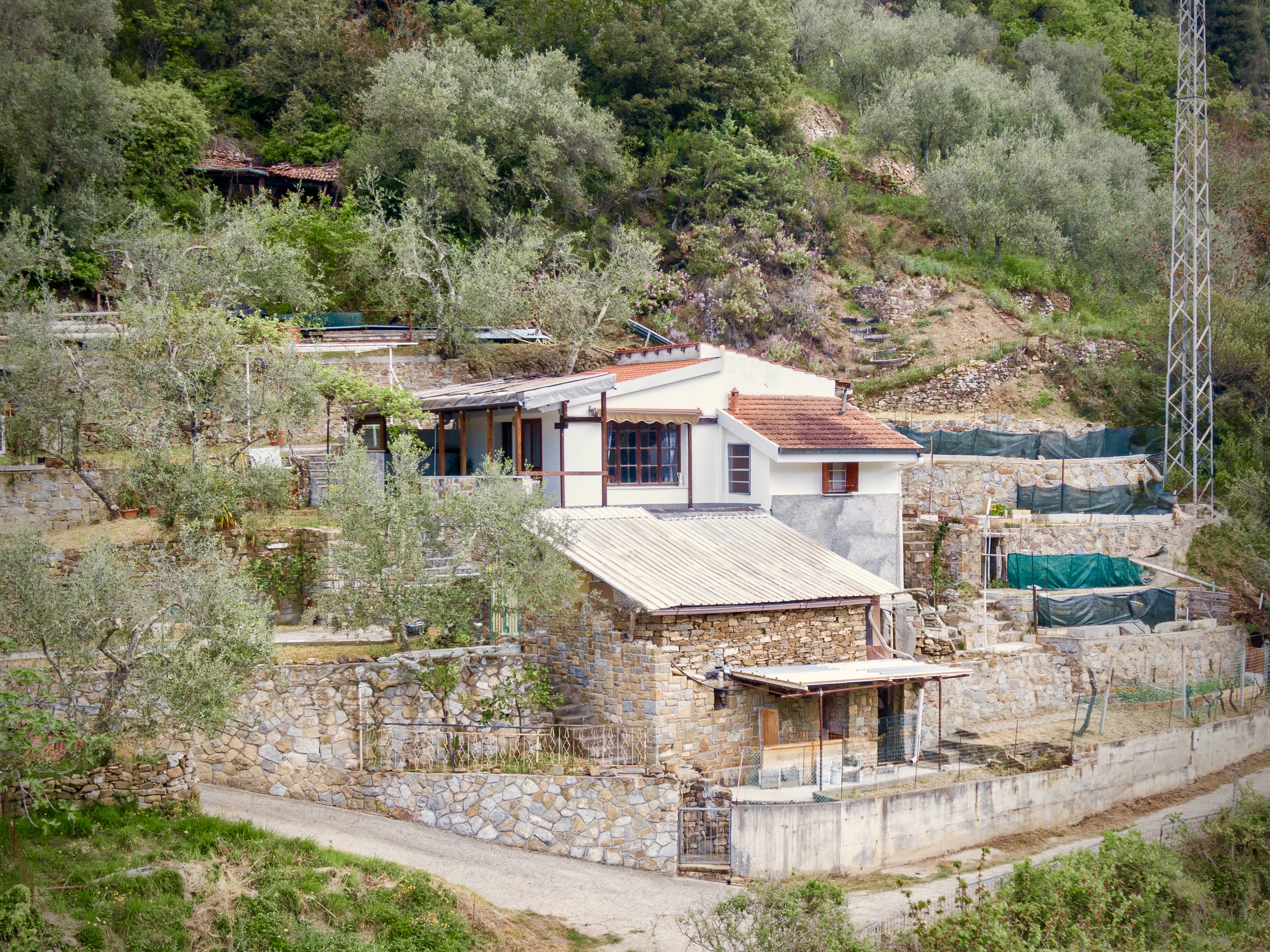 AP1009_01-TERRA-ITALIA-IMMOBILIEN_TERRA-ITALIA-IMMOBILIEN_LIGURIEN_APRICALE_COUNTRY-HOUSE_OLIVE-GROVE