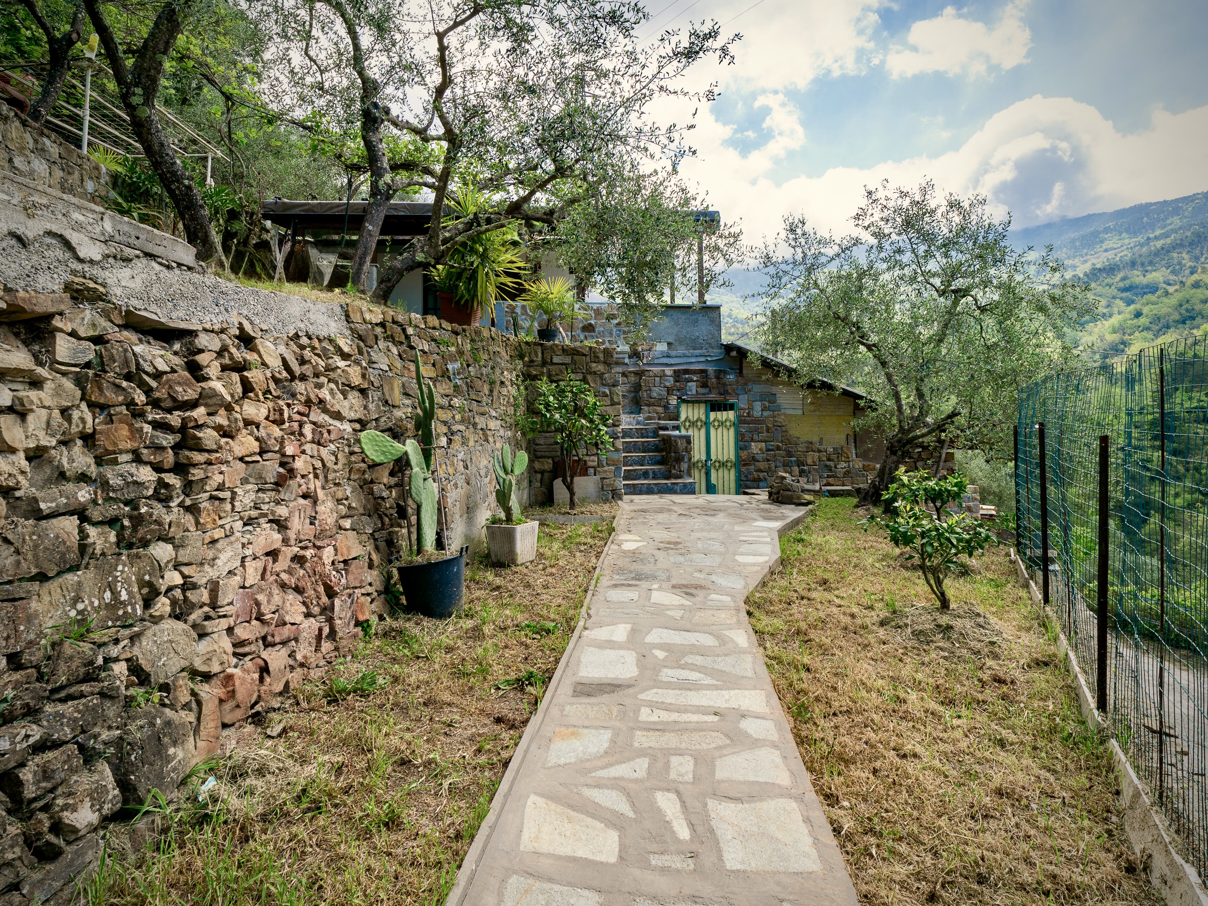 AP1009_02-TERRA-ITALIA-IMMOBILIEN_TERRA-ITALIA-IMMOBILIEN_LIGURIEN_APRICALE_COUNTRY-HOUSE_OLIVE-GROVE