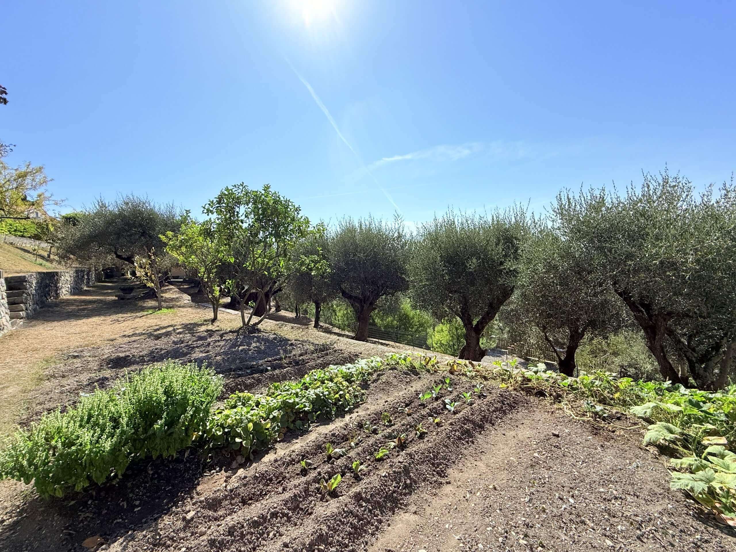 BO_1045_TERRA-ITALIA-IMMOBILIEN_REAL-ESTATE_SEBORGA_VILLA_FOR-SALE_05-scaled