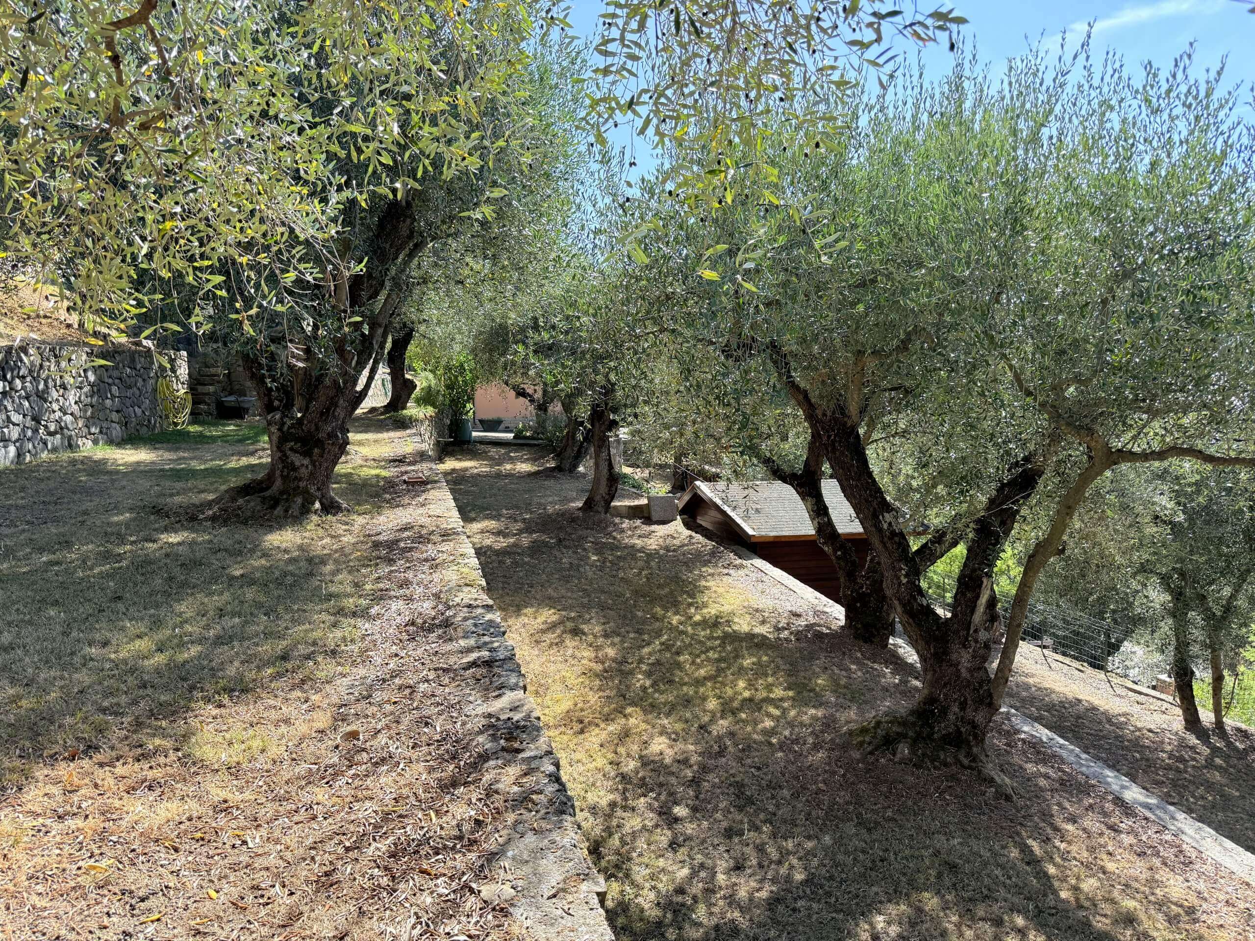 BO_1045_TERRA-ITALIA-IMMOBILIEN_REAL-ESTATE_SEBORGA_VILLA_FOR-SALE_07-scaled