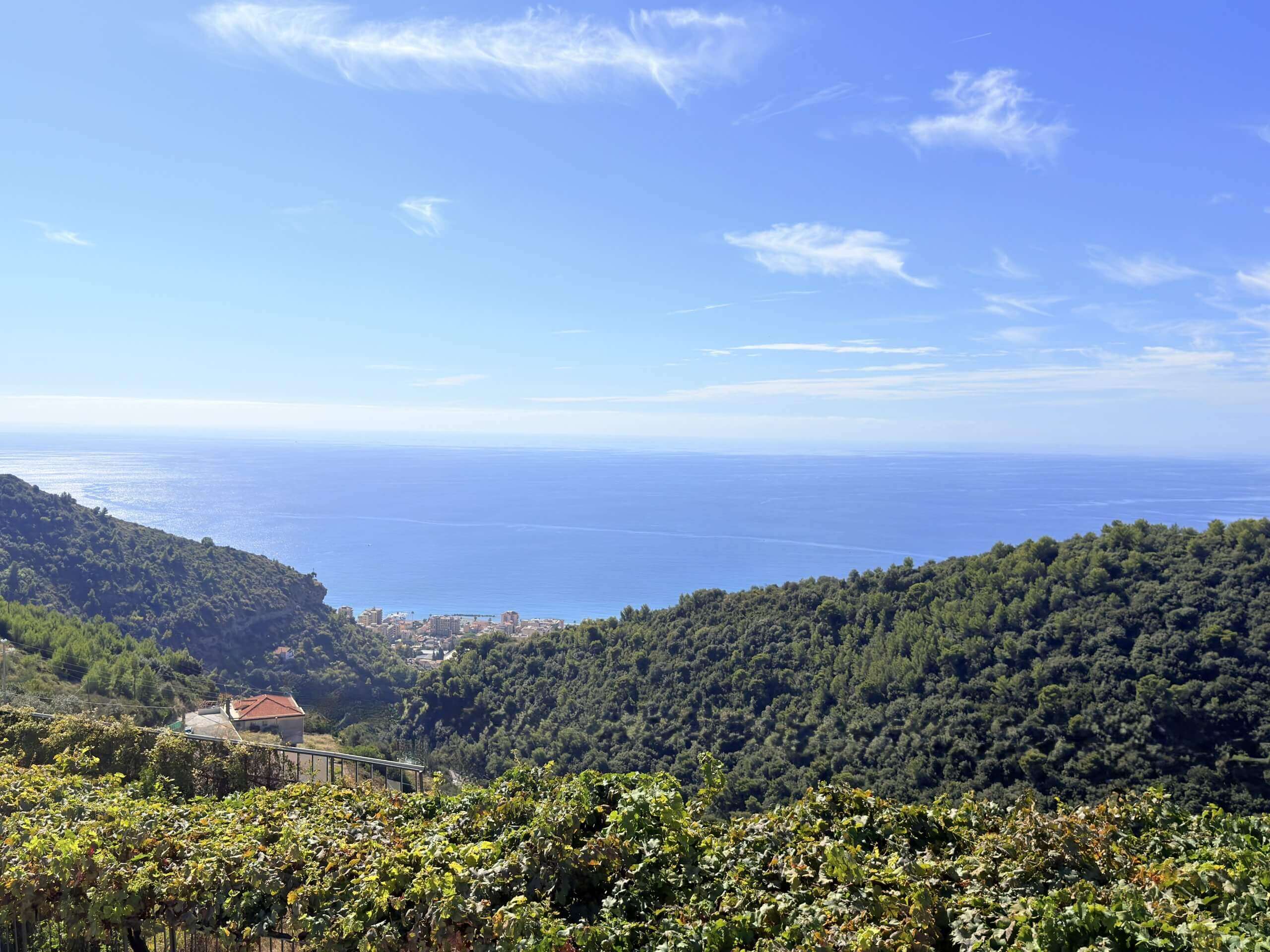 CA_514_TERRA_ITALIA_IMMOBILIEN_LIGURIEN_CAMPOROSSO_SAN-GIACOMO_VISTA-MARE_VILLETTA_16-2-scaled