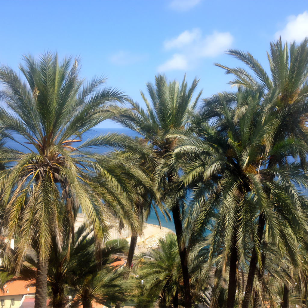 Under the Palm Trees on the Riviera