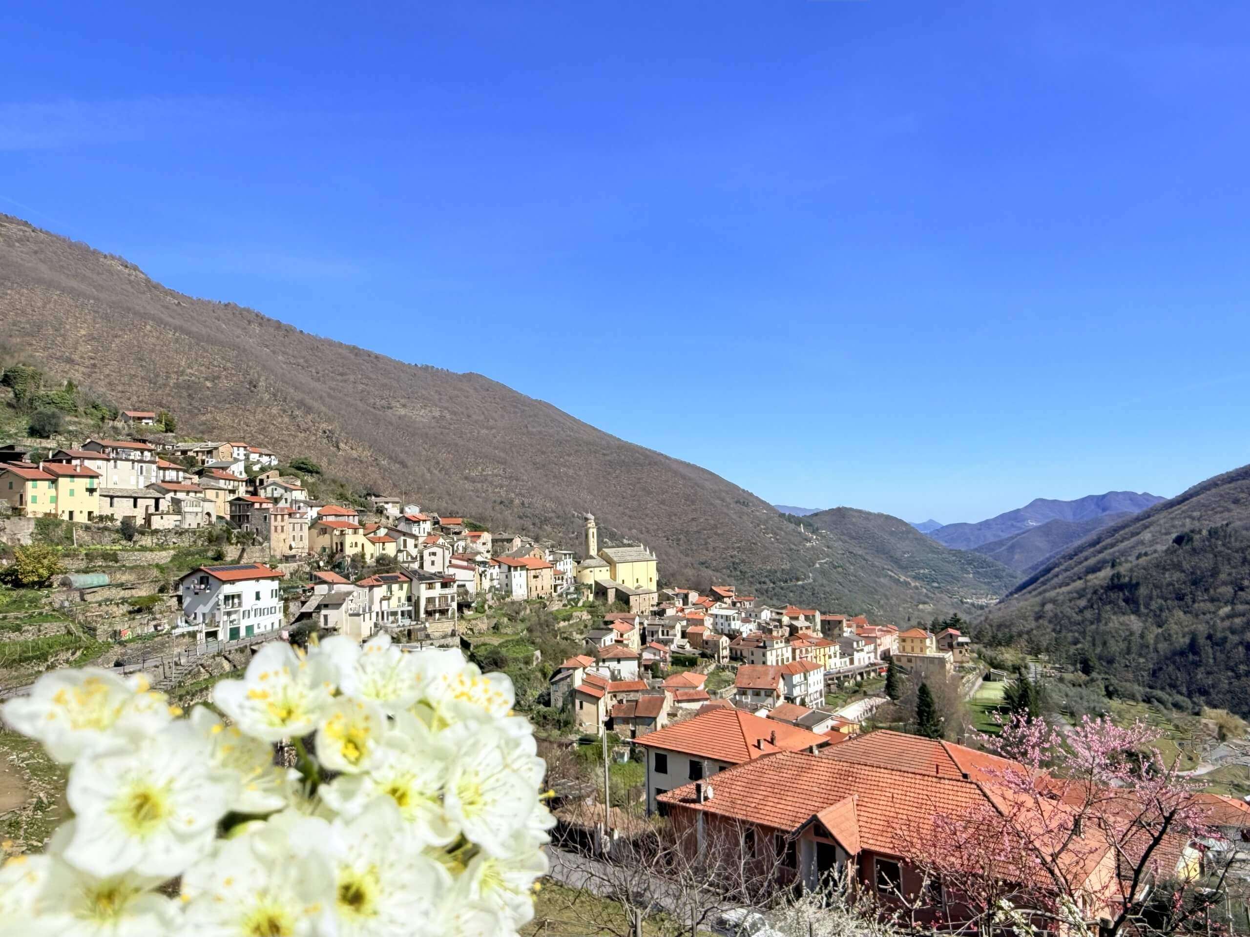 IM_1067_TERRA_ITALIA_IMMOBILIEN_LIGURIEN_REZZO_COUNTRY_HOUSE_02-scaled